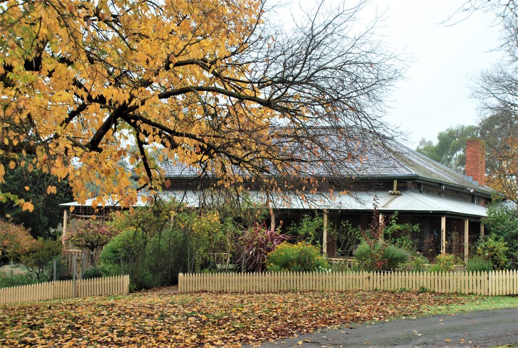 image in autumn showing Le Page Homestead