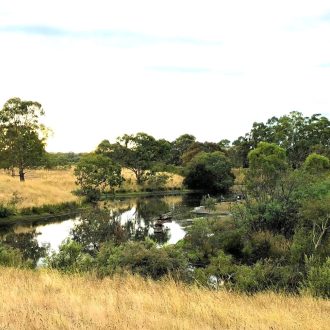 Bushwalking