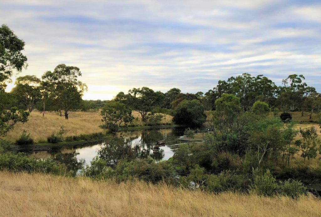 image of wetlands at Hawkestowe in the Plenty Gorge Parklands