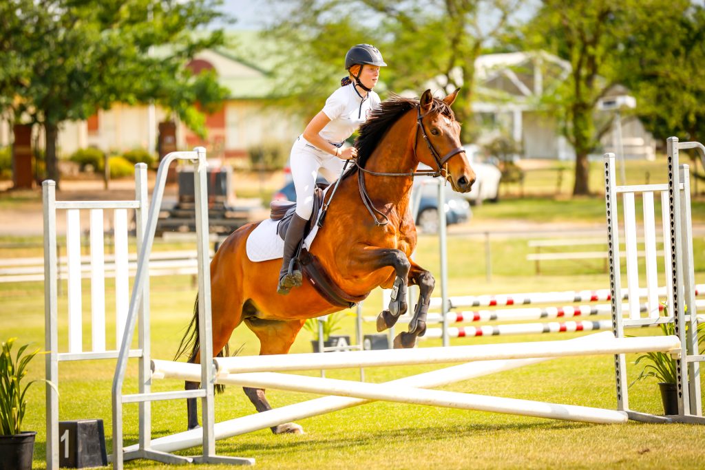 image showing a rider on a horse jumping a small barrier